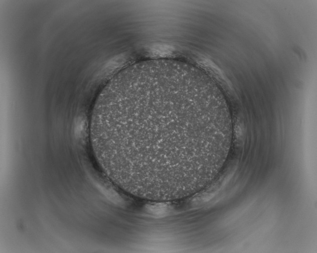 X0000111460079200908241329