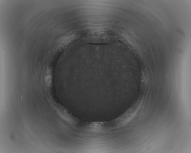 X0000111460080200908241329