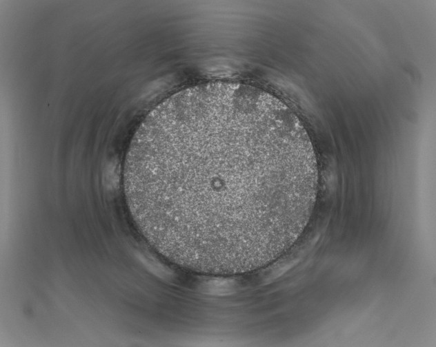 X0000111460081200908241329