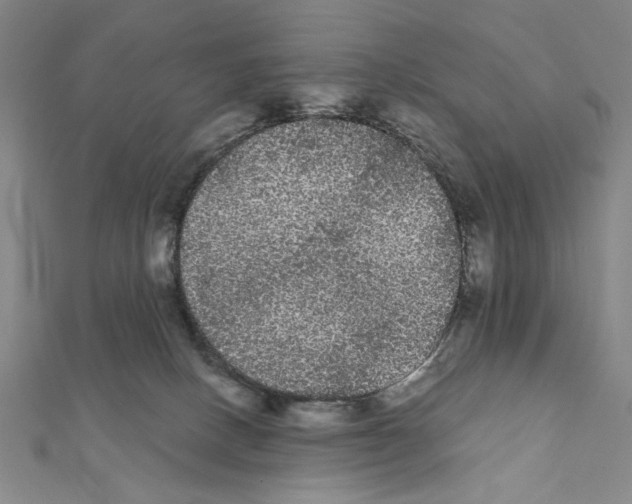 X0000111460082200908241329