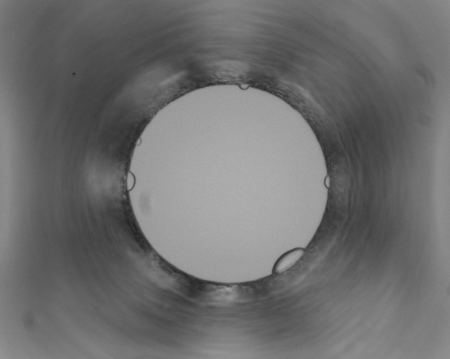 X0000111460083200908241329