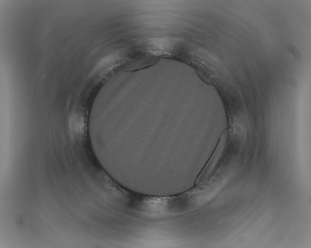 X0000111460084200908241329