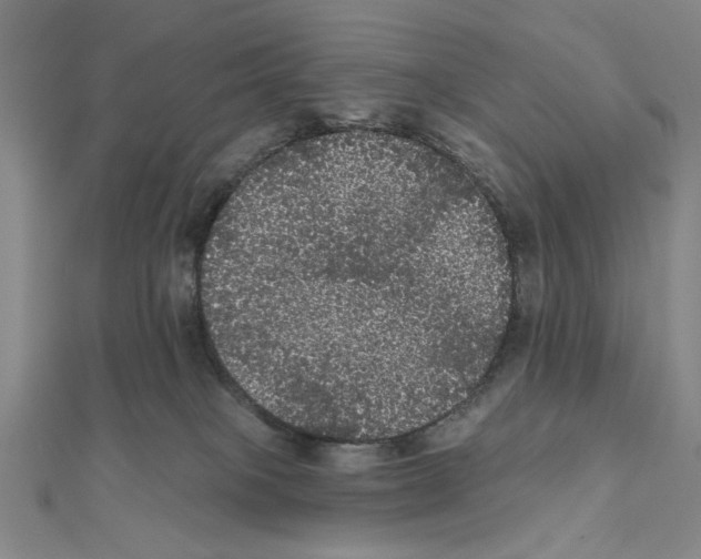 X0000111460085200908241329
