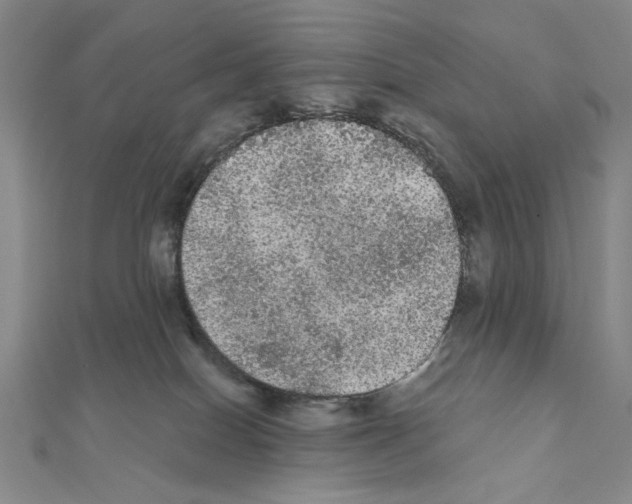 X0000111460086200908241329