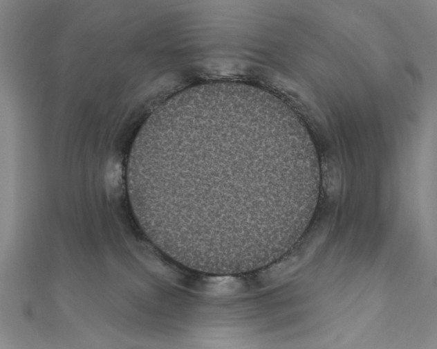 X0000111460087200908241329