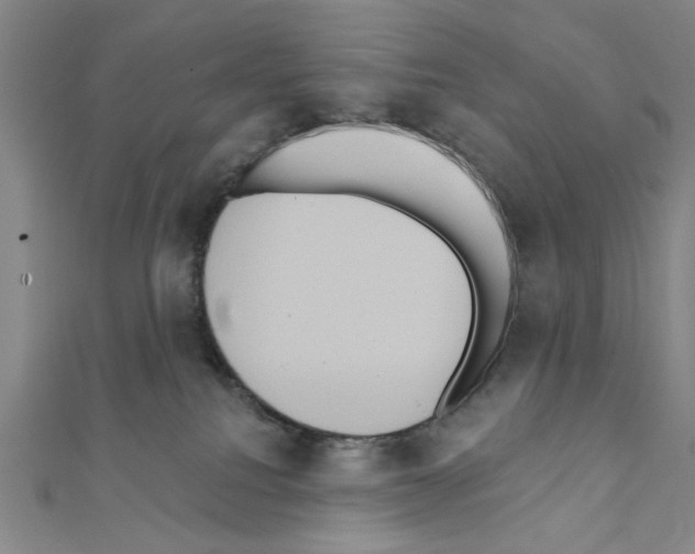 X0000111460088200908241329