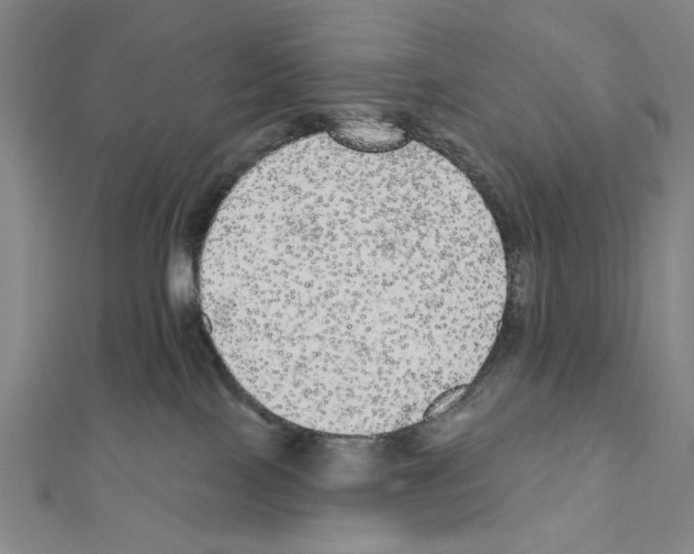 X0000111460089200908241329