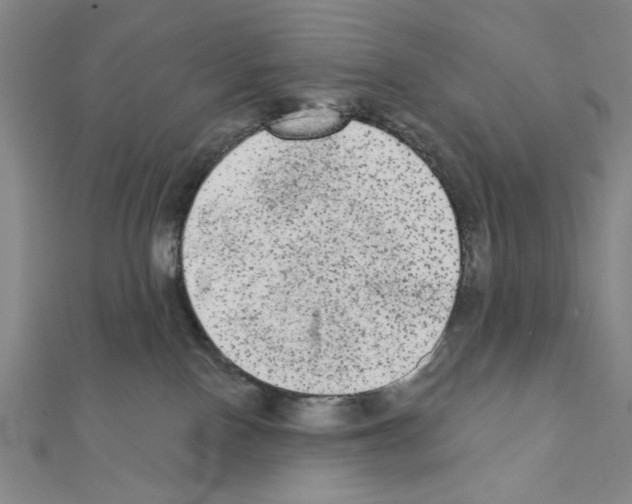 X0000111460090200908241329