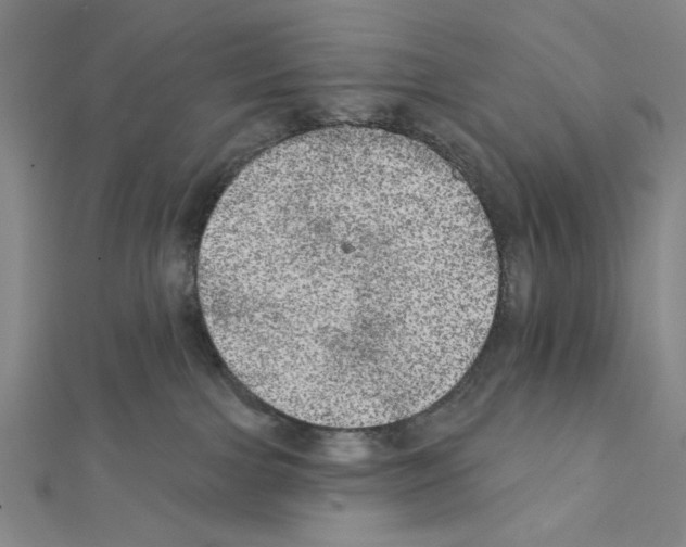 X0000111460091200908241329