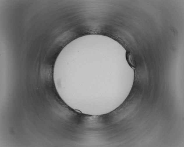 X0000111460092200908241329