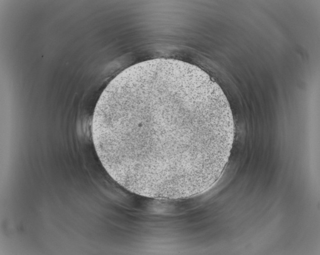 X0000111460094200908241329