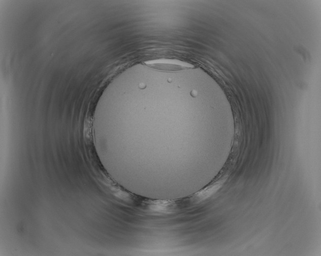 X0000111460096200908241329