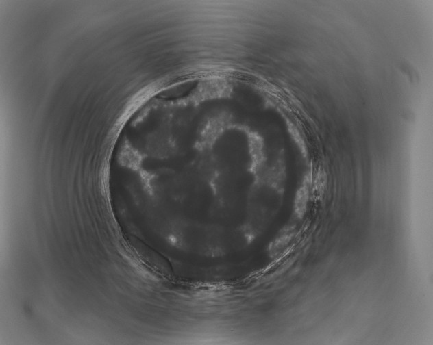 X0000111460099200908241328