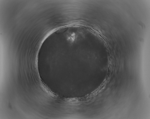 X0000111460100200908241328