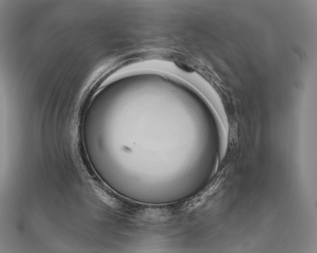 X0000111460101200908241328