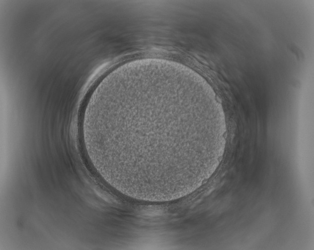 X0000111460102200908241328