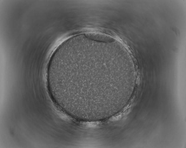 X0000111460103200908241328