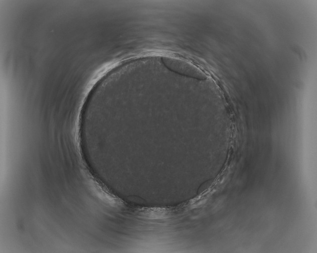 X0000111460104200908241328