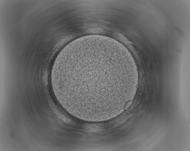 X0000111460106200908241328