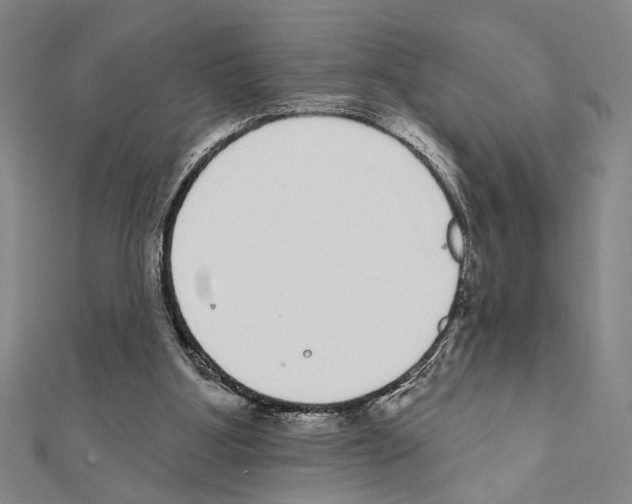 X0000111460107200908241328