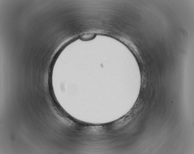 X0000111460108200908241328