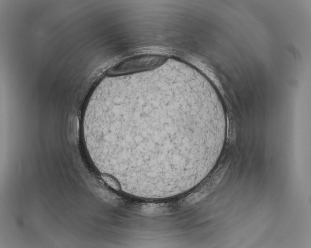 X0000111460109200908241328