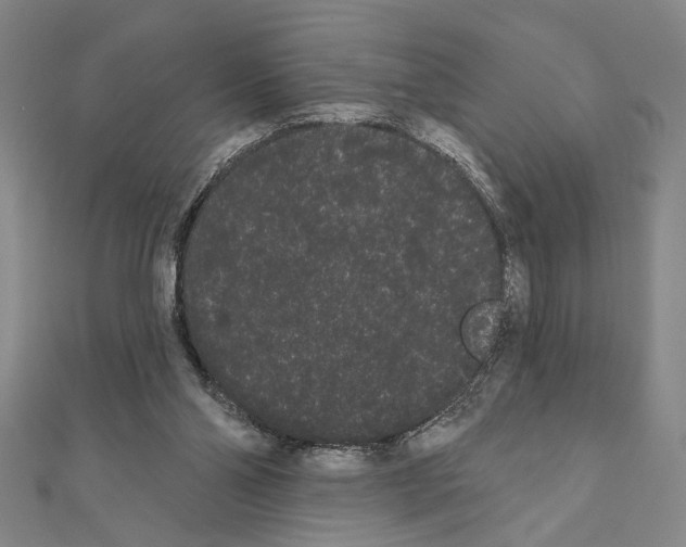 X0000111460110200908241328