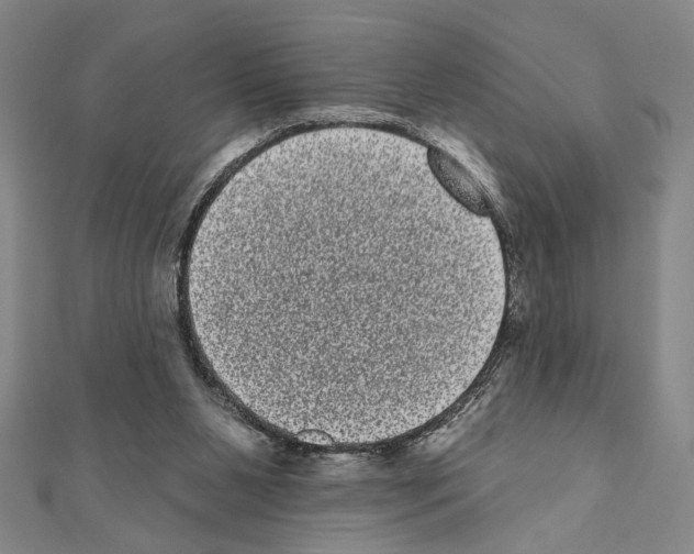 X0000111460111200908241328