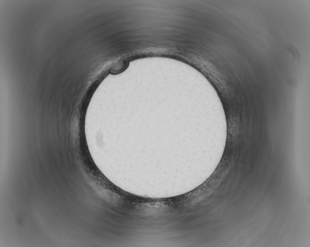 X0000111460112200908241328