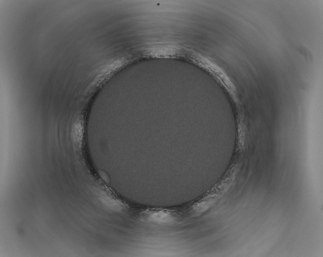 X0000111460113200908241328