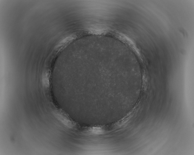 X0000111460114200908241328