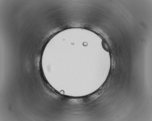 X0000111460115200908241328