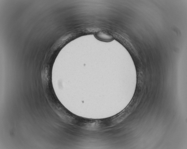 X0000111460116200908241328