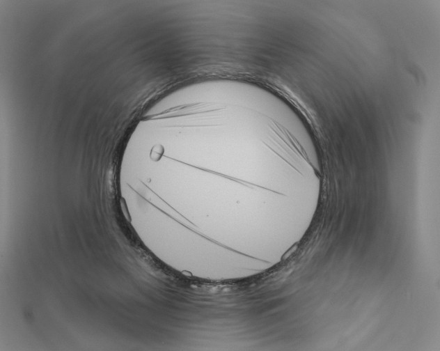 X0000111460117200908241328