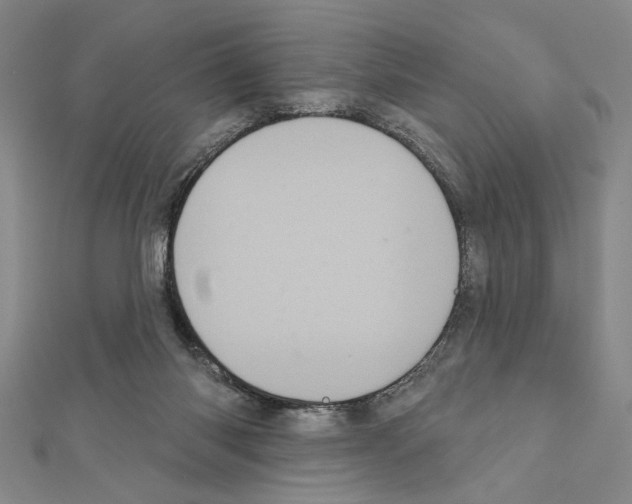 X0000111460118200908241328