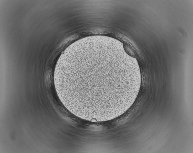 X0000111460119200908241328