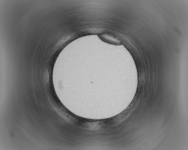 X0000111460120200908241328