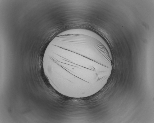 X0000111460121200908241328