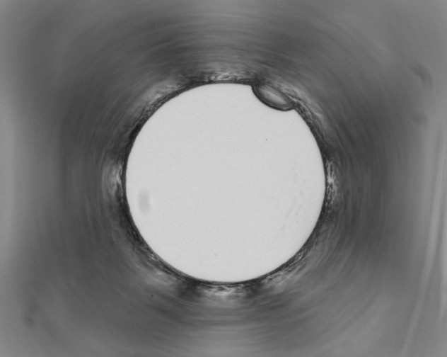 X0000111460123200908241328