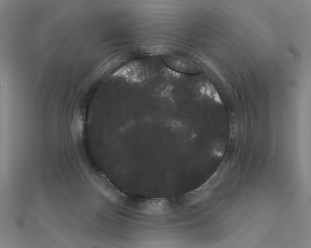X0000111460124200908241328