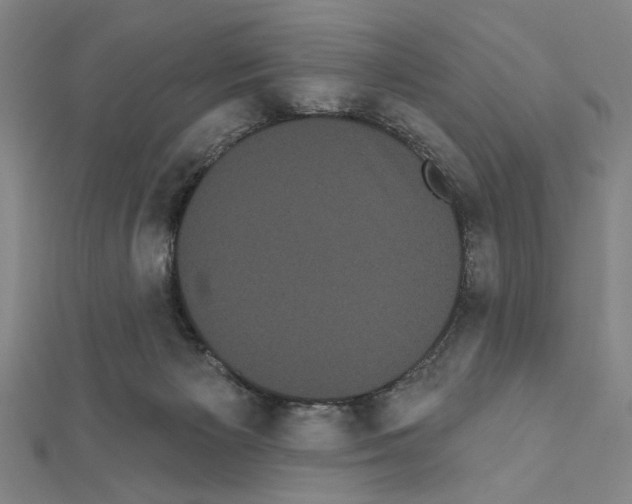 X0000111460125200908241328