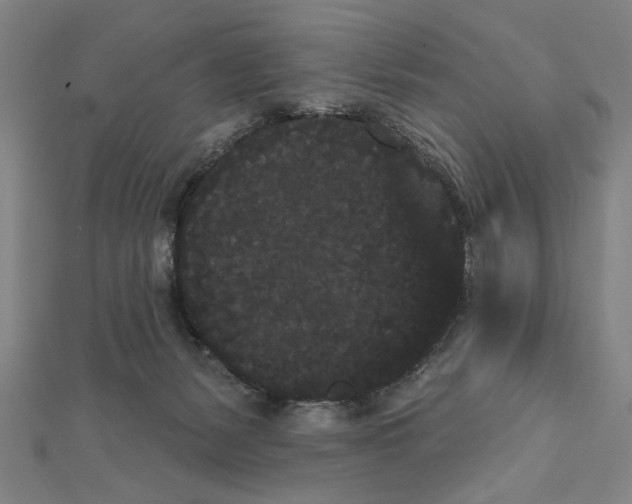 X0000111460127200908241328