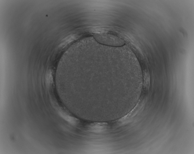 X0000111460128200908241328
