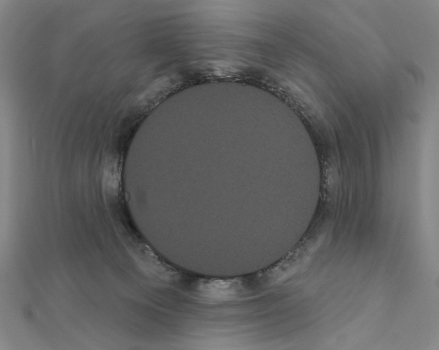 X0000111460129200908241328