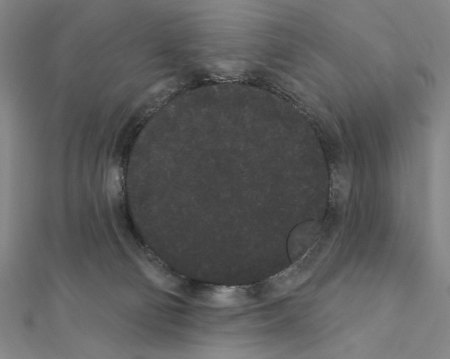 X0000111460130200908241328