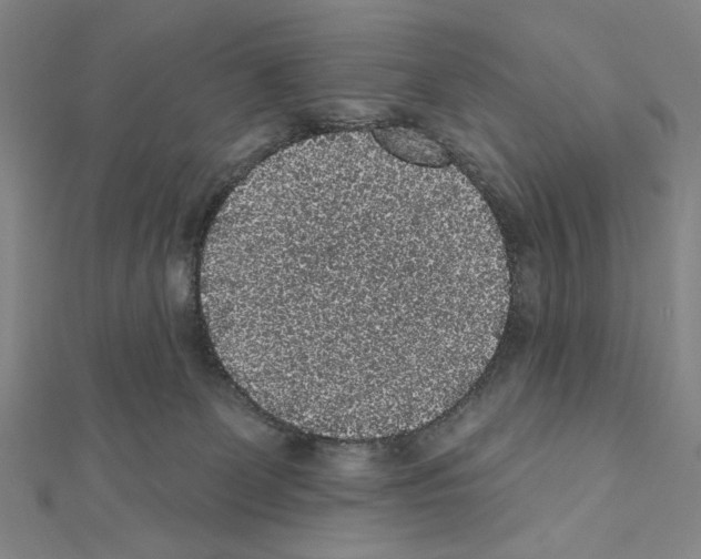 X0000111460131200908241328