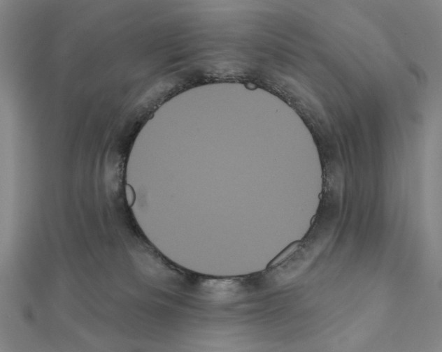 X0000111460133200908241328