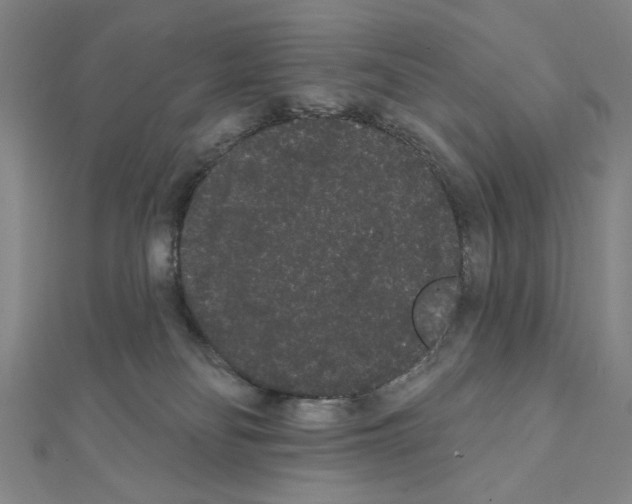 X0000111460134200908241328