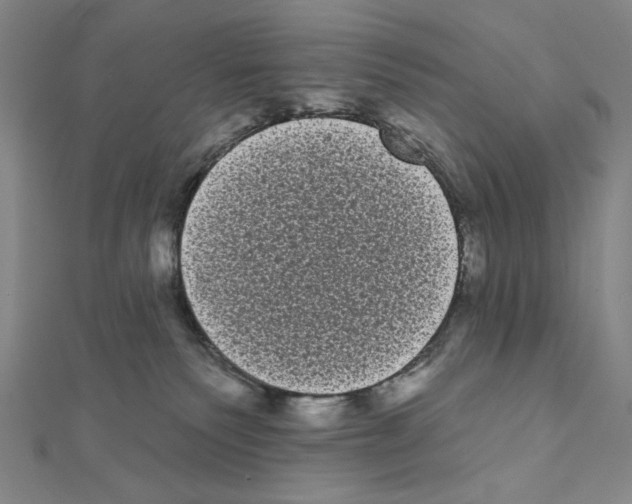 X0000111460135200908241328