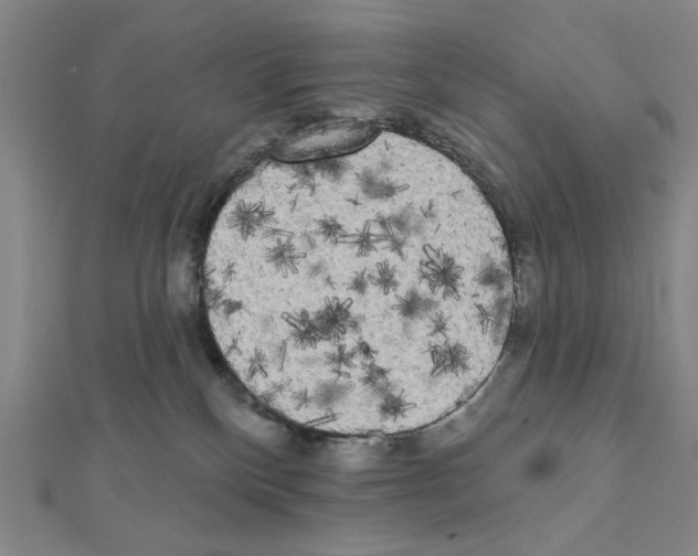 X0000111460136200908241328